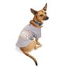 Youly Playera Nap Queen para Perro, XXX-Grande Youly Playera Nap Queen para Perro, XXX-Grande