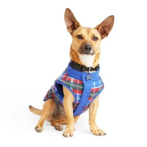 Youly Chaleco Azul con Cuadros para Perro, XX-Chico Youly Chaleco Azul con Cuadros para Perro, XX-Chico