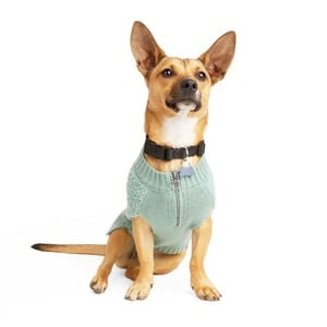 Youly Suéter Color Gris Modelo Fuzz para Perro, Mediano Youly Suéter Color Gris Modelo Fuzz para Perro, Mediano