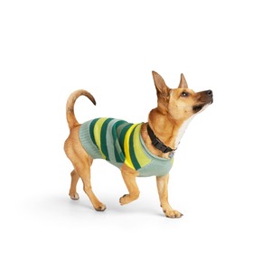 Youly Suéter Color Verde con Gris Estilo Rayado para Perro, X-Grande