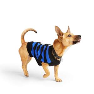 Youly Suéter Color Azul con Negro Estilo Rayado para Perro, X-Grande