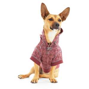 Reddy Sudadera Color Vino con Capucha para Perro, Chico Reddy Sudadera Color Vino con Capucha para Perro, Chico