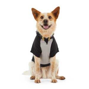 Reddy Sudadera Colorblock Negra para Perro, X-Grande Reddy Sudadera Colorblock Negra para Perro, X-Grande