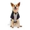 Reddy Sudadera Colorblock Negra para Perro, X-Grande Reddy Sudadera Colorblock Negra para Perro, X-Grande