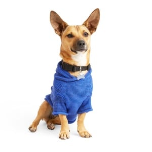Youly Sudadera con Tejidos Color Azul para Perro, X-Grande Youly Sudadera con Tejidos Color Azul para Perro, X-Grande