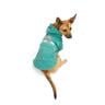 Youly Sudadera Color Verde Estilo Best In Class para Perro, X-Chico Youly Sudadera Color Verde Estilo Best In Class para Perro, X-Chico