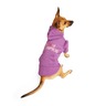 Youly Sudadera Color Morado Estilo Most para Perro, X-Grande Youly Sudadera Color Morado Estilo Most para Perro, X-Grande