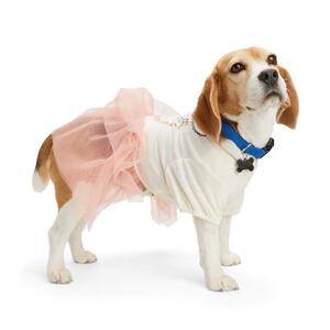 Youly Vestido con Tul Color Rosa para Perro, X-Chico Youly Vestido con Tul Color Rosa para Perro, X-Chico