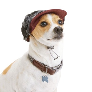 Reddy Gorra Sherpa Gris para Perro, X-Chico/Chico