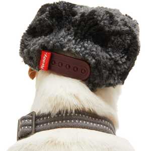Reddy Gorra Sherpa Gris para Perro, X-Chico/Chico