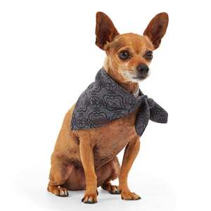 Reddy Bandana Gris para Perro, X-Chico/Chico Reddy Bandana Gris para Perro, X-Chico/Chico