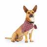 Reddy Bandana Vino para Perro, Grande/X-Grande Reddy Bandana Vino para Perro, Grande/X-Grande