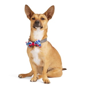 Youly Pack de 2 Moñitos en Colores Negro y Azul con Print para Perro, Unitalla Youly Pack de 2 Moñitos en Colores Negro y Azul con Print para Perro, Unitalla