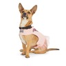 Youly Arnés Color Rosa con Olanes y Flores Bordadas para Perro, Chico Youly Arnés Color Rosa con Olanes y Flores Bordadas para Perro, Chico