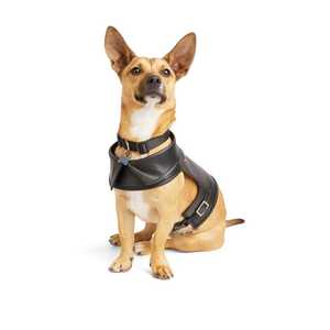 Youly Arnés Color Negro en Cuero Sintético para Perro, Mediano Youly Arnés Color Negro en Cuero Sintético para Perro, Mediano