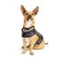 Youly Arnés Color Negro en Cuero Sintético para Perro, Mediano Youly Arnés Color Negro en Cuero Sintético para Perro, Mediano