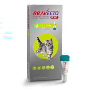 Bravecto Plus Pipeta Desparasitante Externa e Interna para Gato, 112 mg