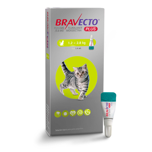 Bravecto Plus Pipeta Desparasitante Externa e Interna para Gato, 112 mg
