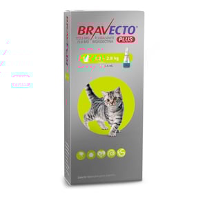 Bravecto Plus Pipeta Desparasitante Externa e Interna para Gato, 112 mg Bravecto Plus Pipeta Desparasitante Externa e Interna para Gato, 112 mg