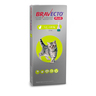 Bravecto Plus Pipeta Desparasitante Externa e Interna para Gato, 112 mg Bravecto Plus Pipeta Desparasitante Externa e Interna para Gato, 112 mg