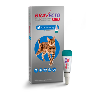 Bravecto Plus Pipeta Desparasitante Externa e Interna para Gato, 250 mg