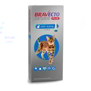 Bravecto Plus Pipeta Desparasitante Externa e Interna para Gato, 250 mg Bravecto Plus Pipeta Desparasitante Externa e Interna para Gato, 250 mg