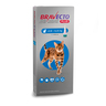 Bravecto Plus Pipeta Desparasitante Externa e Interna para Gato, 250 mg Bravecto Plus Pipeta Desparasitante Externa e Interna para Gato, 250 mg