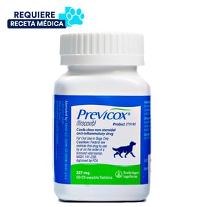 Boehringer Previcox Analgésico y Antiinflamatorio no Esteroideo para Perro, Grande Boehringer Previcox Analgésico y Antiinflamatorio no Esteroideo para Perro, Grande