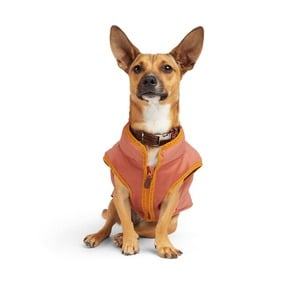 Reddy Winter Chamarra Puffer Color Café para Perro, Mediano Reddy Winter Chamarra Puffer Color Café para Perro, Mediano