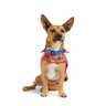 Youly Winter Capa Roja con Print Doble Vista para Perro, XX-Grande/XXX-Grande Youly Winter Capa Roja con Print Doble Vista para Perro, XX-Grande/XXX-Grande