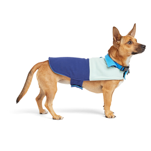 Youly Winter Capa Azul para Perro, XX-Grande/XXX-Grande