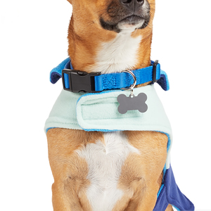 Youly Winter Capa Azul para Perro, XX-Grande/XXX-Grande