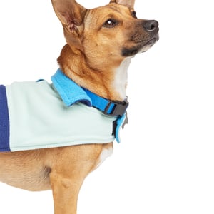 Youly Winter Capa Azul para Perro, XX-Grande/XXX-Grande