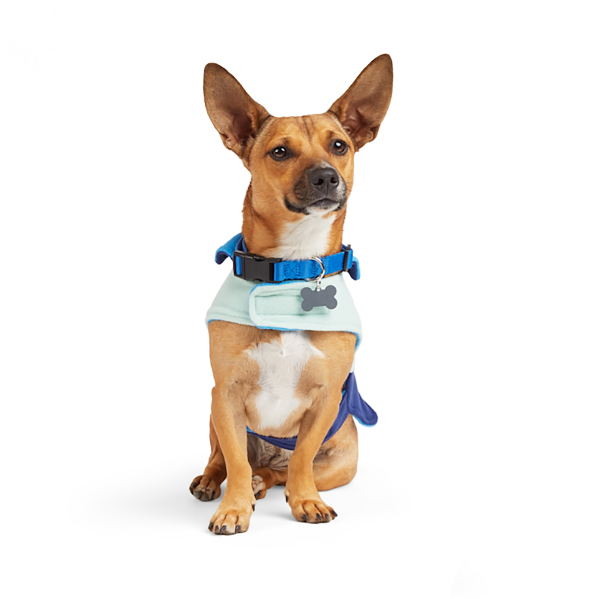 Youly Winter Capa Azul para Perro, XX-Grande/XXX-Grande