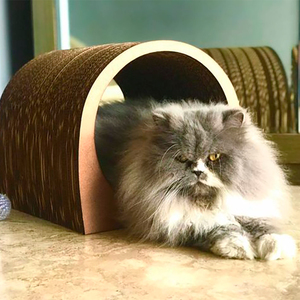 I Love Cats Rascador de Cartón Resistente Diseño Luna para Gato, Mediano