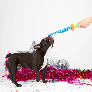 Bark Party Animal Juguete Suave Diseño Silbato de Fiesta para Perro, Multicolor