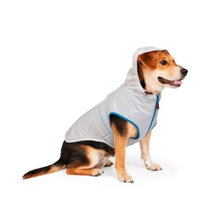 Reddy Chamarra Ultraligera Color Azul Cielo para Perro, X-Grande Reddy Chamarra Ultraligera Color Azul Cielo para Perro, X-Grande