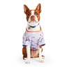 Youly Pre Spring Playera con Gráficos para Perro, X-Chico Youly Pre Spring Playera con Gráficos para Perro, X-Chico