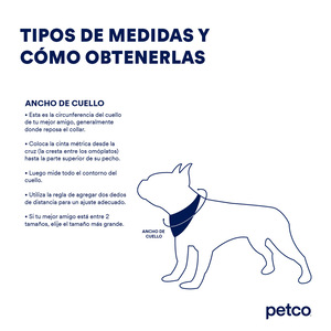 Petspaces Collar de Pvc Color Aqua para Perro, Mediano