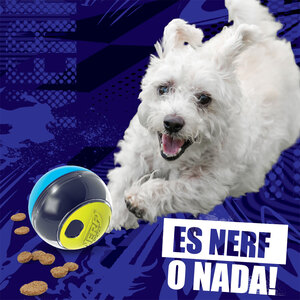 Nerf Dog Puzzle Feeder Dispensador de Alimento Diseño Esfera para Perro, Chico