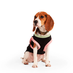 Reddy Spring Playera Básica sin Mangas Negra con Estampado, XXX-Grande