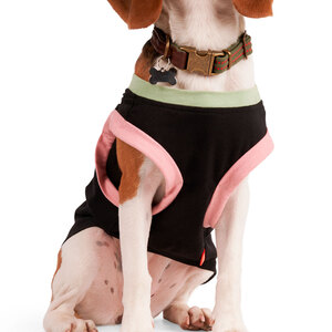 Reddy Spring Playera Básica sin Mangas Negra con Estampado, XXX-Grande