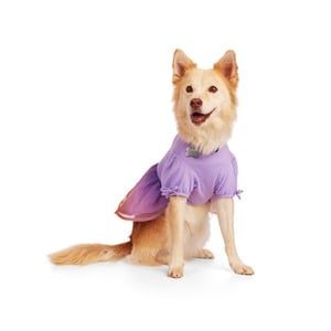 Youly Spring Vestido Degradado Color Morado con Estampado, XX-Chico Youly Spring Vestido Degradado Color Morado con Estampado, XX-Chico