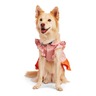 Youly Spring Vestido con Olanes en Color Rosa y Naranja, XX-Chico Youly Spring Vestido con Olanes en Color Rosa y Naranja, XX-Chico