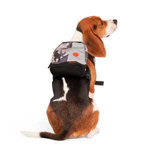 Reddy Spring Backpack con Capucha Negra Camo, X-Chico / Chico Reddy Spring Backpack con Capucha Negra Camo, X-Chico / Chico
