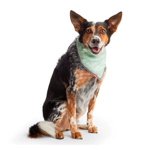 Reddy Spring Bandana Doble Vista Verde, Grande / X-Grande Reddy Spring Bandana Doble Vista Verde, Grande / X-Grande