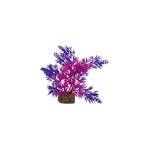 Glofish Decoración Planta Purpura-Rosa, Mediano, Chica