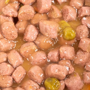 Les Repas Plaisir Alimento Natural Húmedo Receta Pato y Verduras para Perro Adulto, 100 g