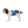 Youly Summer Traje de Baño Azul con Cuadros para Perro, X-Chico Youly Summer Traje de Baño Azul con Cuadros para Perro, X-Chico