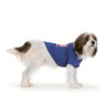Youly Summer Player Navy con Estampado para Perro, Chico Youly Summer Player Navy con Estampado para Perro, Chico